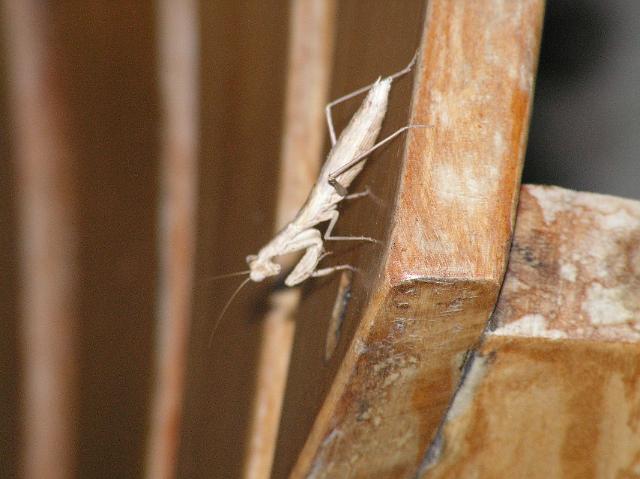 ferie kreta 05 132.jpg
